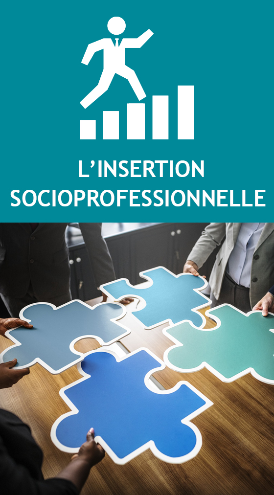 L’INSERTION SOCIOPROFESSIONNELLE