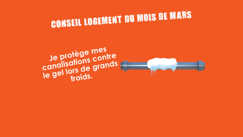 Conseil Logement du mois de mars